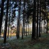 11 b Rund um Ellwangen